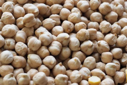 chana-prices-cheap-imports-india-pulse-market-2026