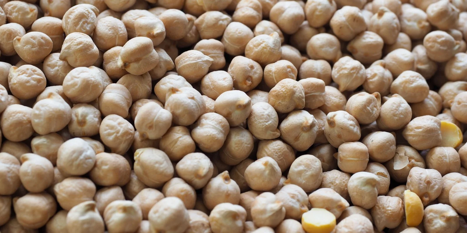 chana-prices-cheap-imports-india-pulse-market-2026